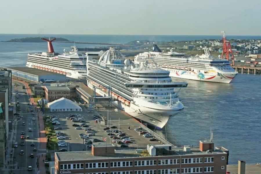 New Large Luxurious 2Br Condo In The Heart Of Uptown Coffee, Wifi Saint John Eksteriør billede